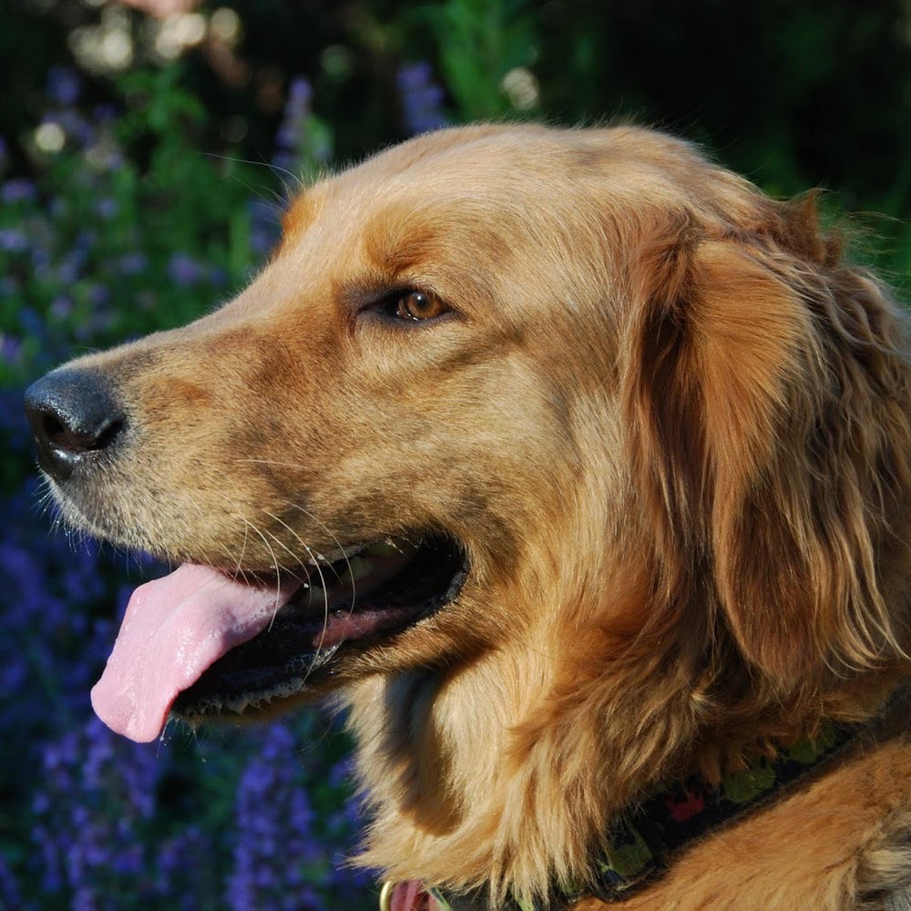 Meet your Posher, Sangavi